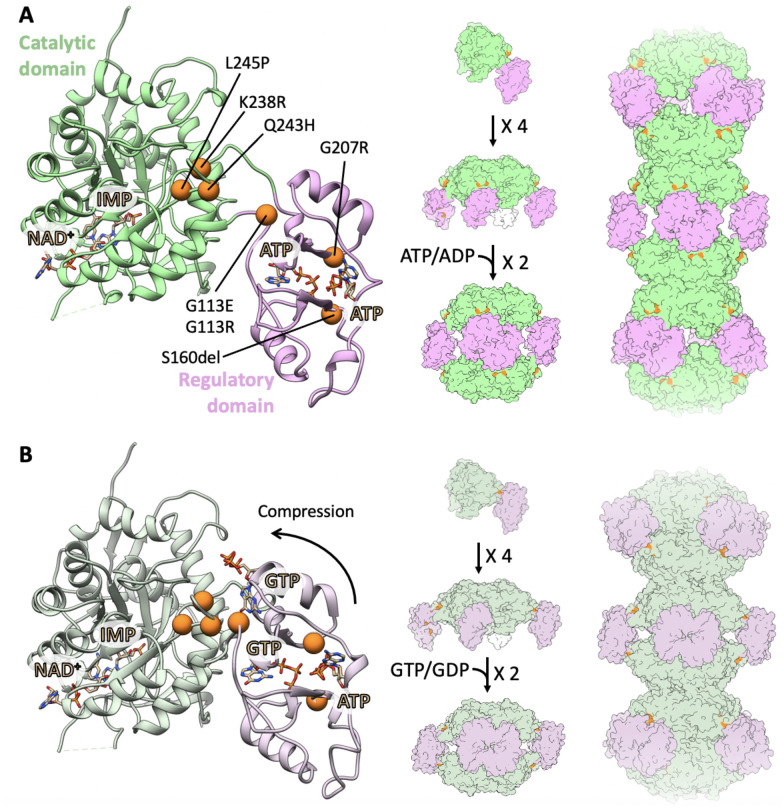 Fig. 1.