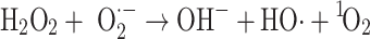 graphic file with name M19.gif