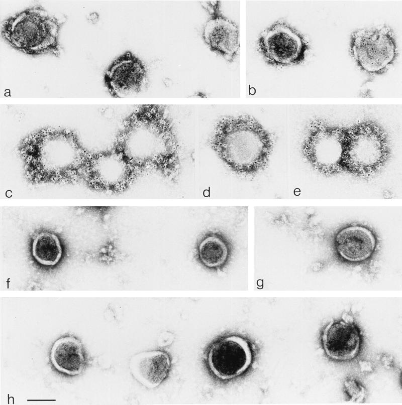 FIG. 8