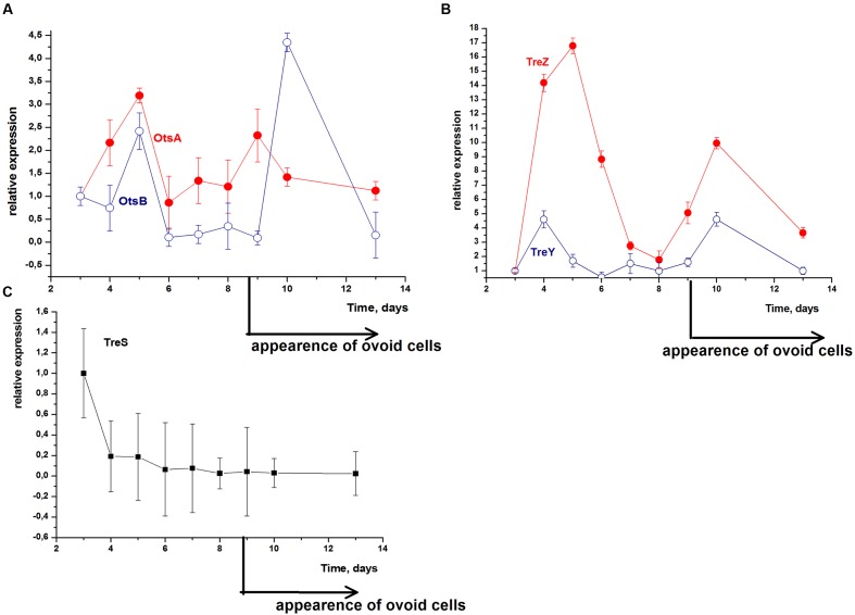 FIGURE 3