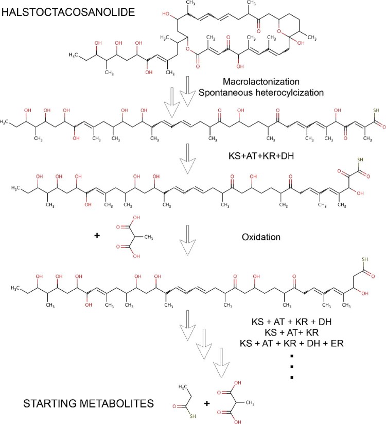 Fig. 4