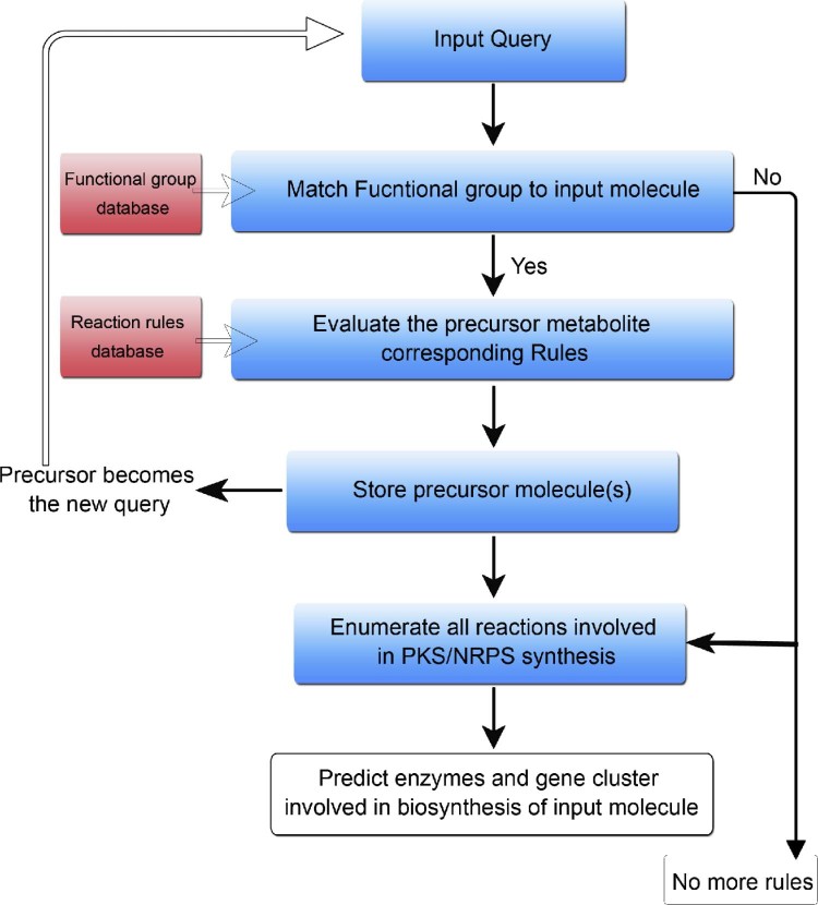 Fig. 2