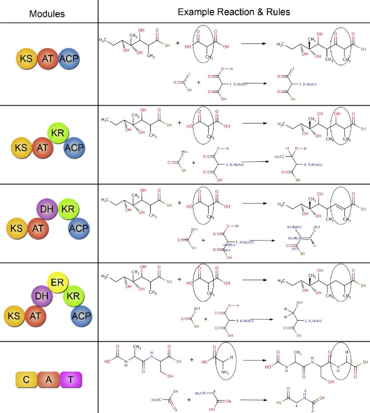 Fig. 3