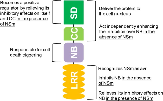 FIGURE 1