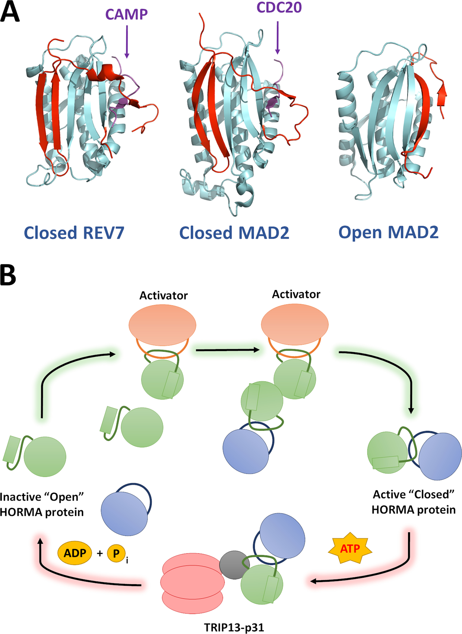 Figure 1: