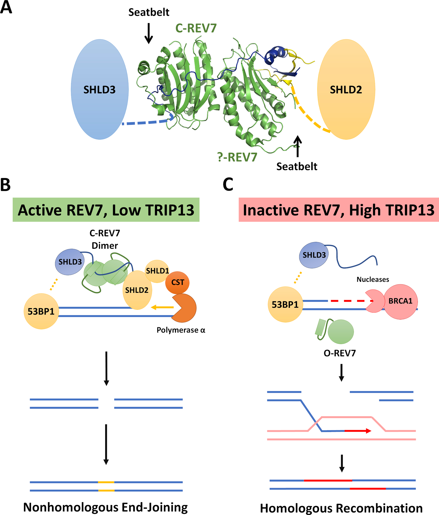 Figure 3: