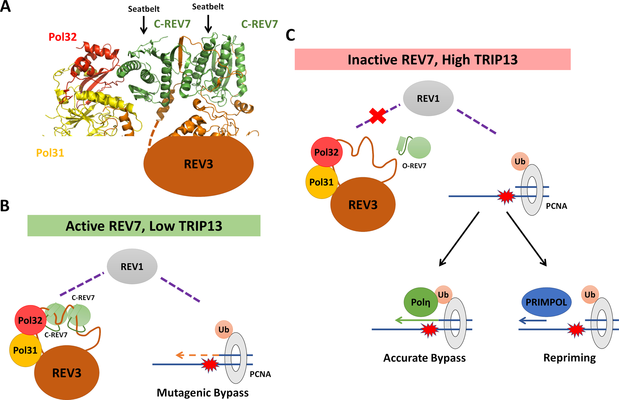 Figure 2: