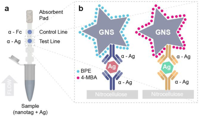 Figure 3: