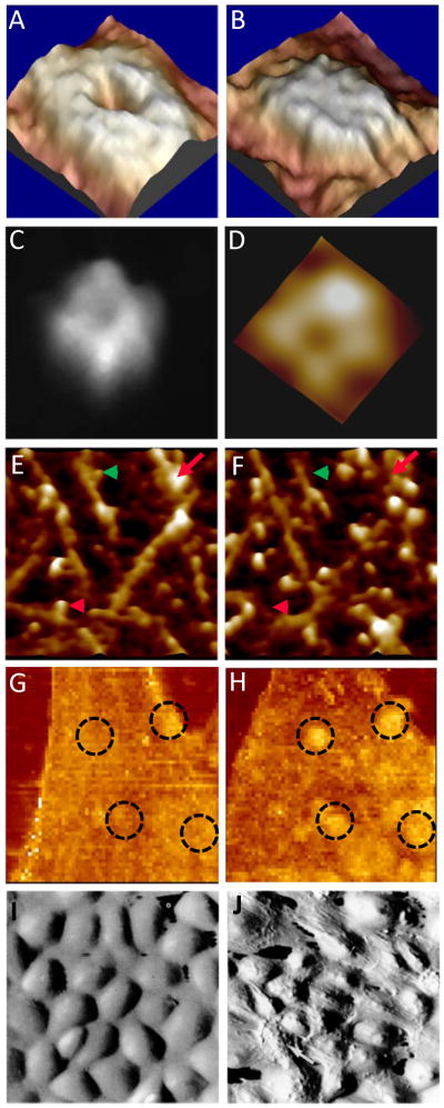 Fig. 6