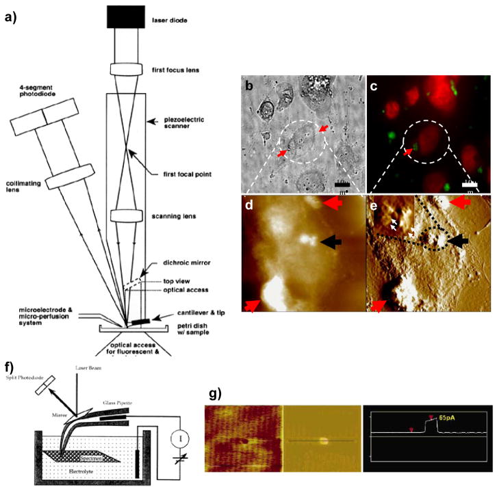 Fig. 4