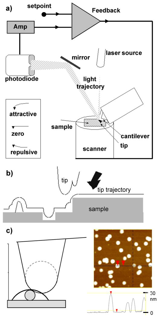 Fig. 3