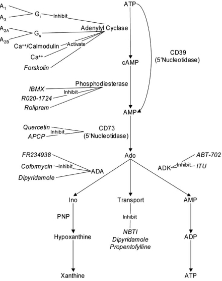 Fig. (2)