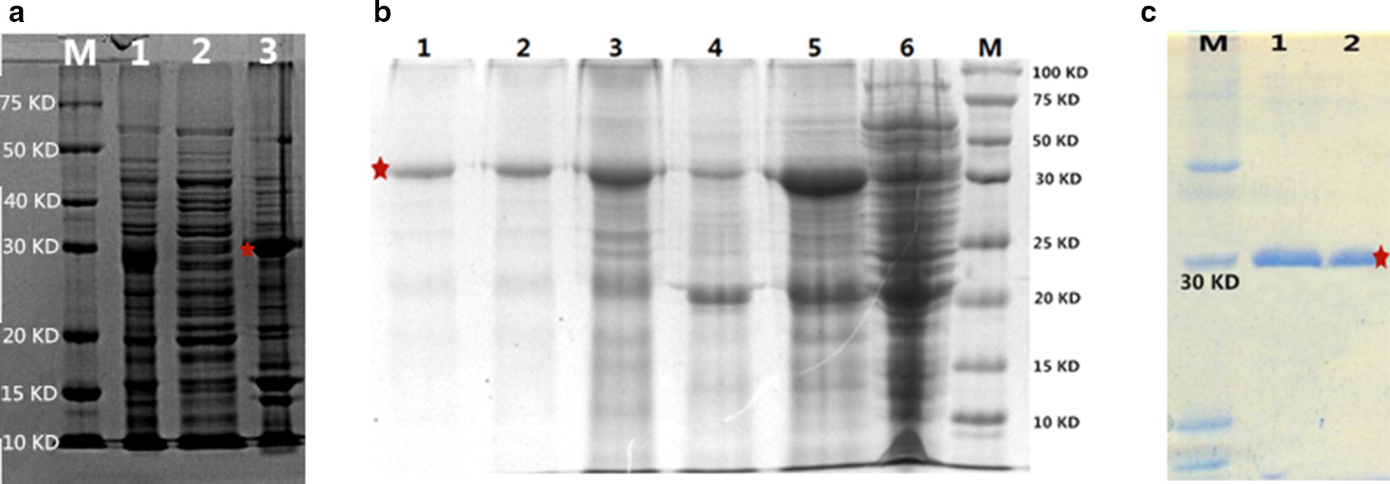 Fig. 4