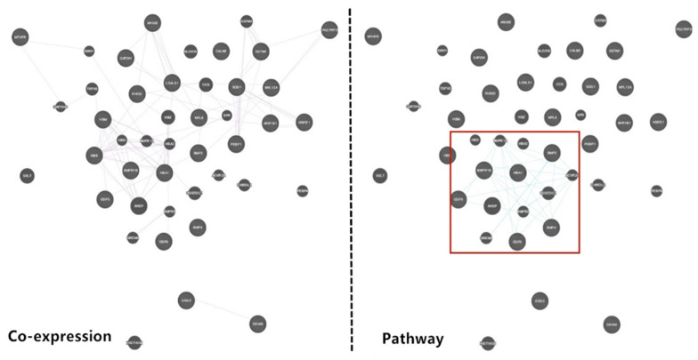 Fig. 12