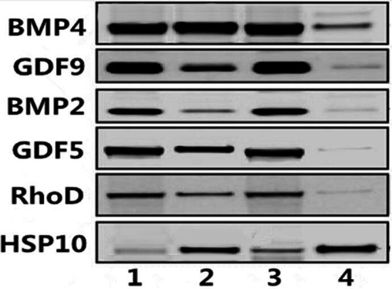 Fig. 7