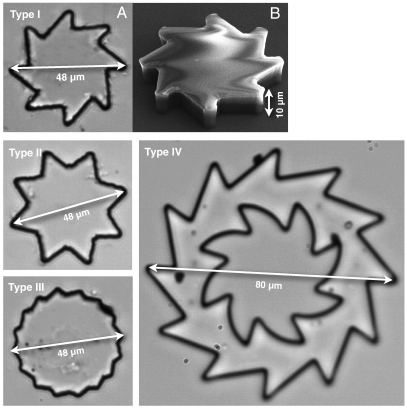 Fig. 1.