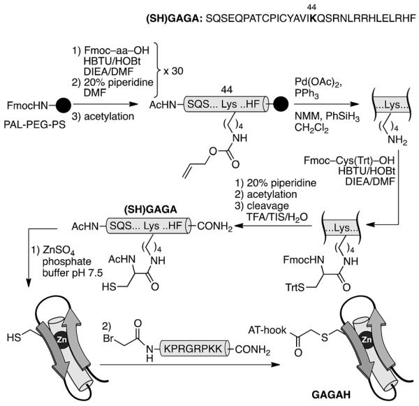 Scheme 2