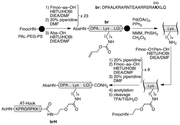 Scheme 1