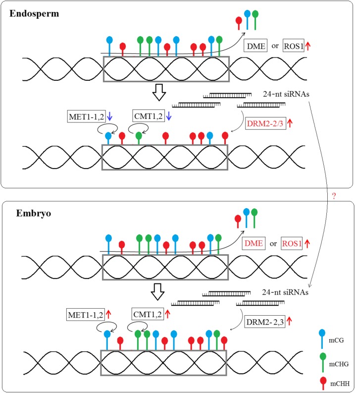 Figure 9.