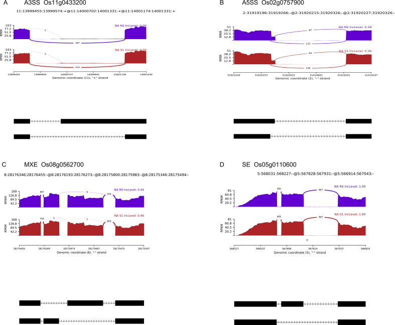 Supplementary Figure S1