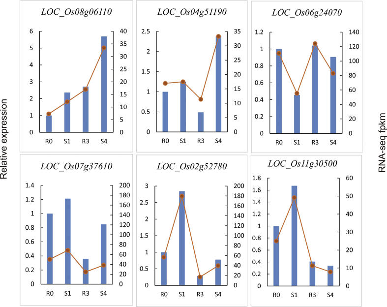 Supplementary Figure S3
