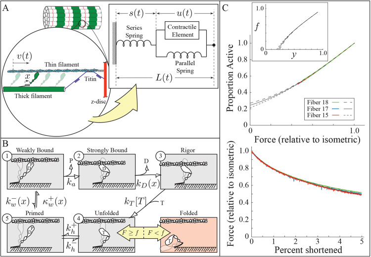 Figure 4: