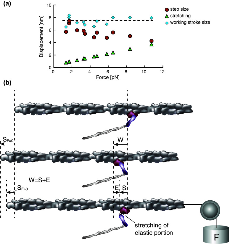 Fig. 3