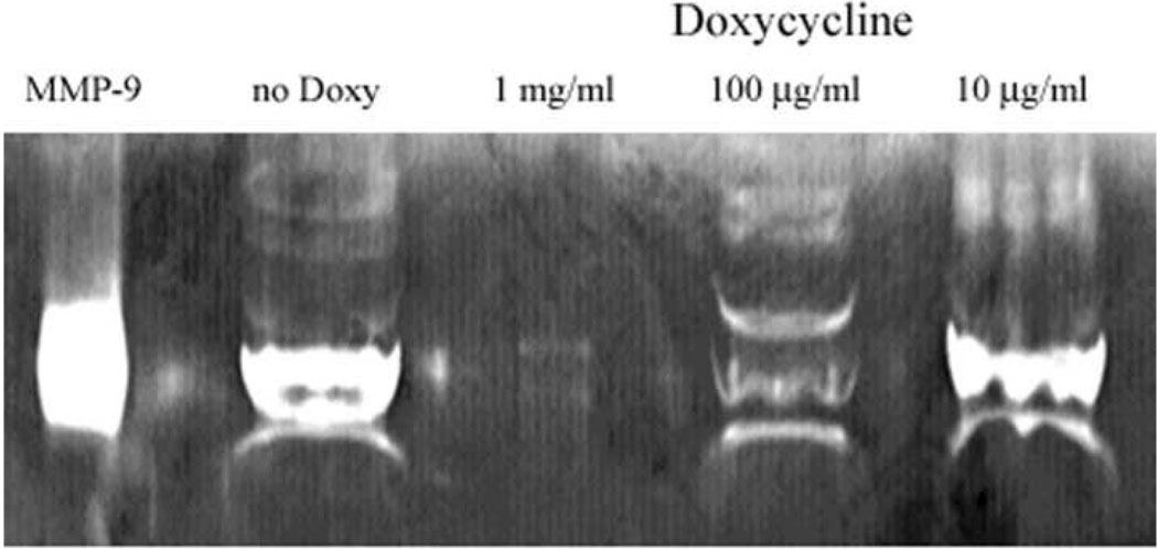 Figure 10