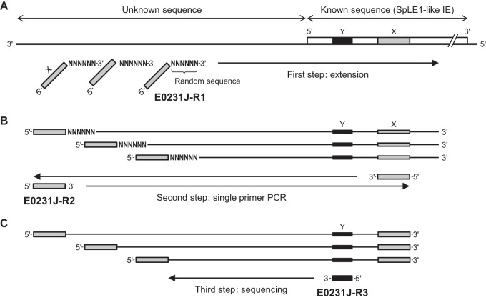 FIG 1