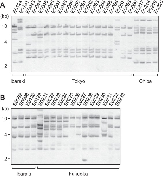 FIG 5