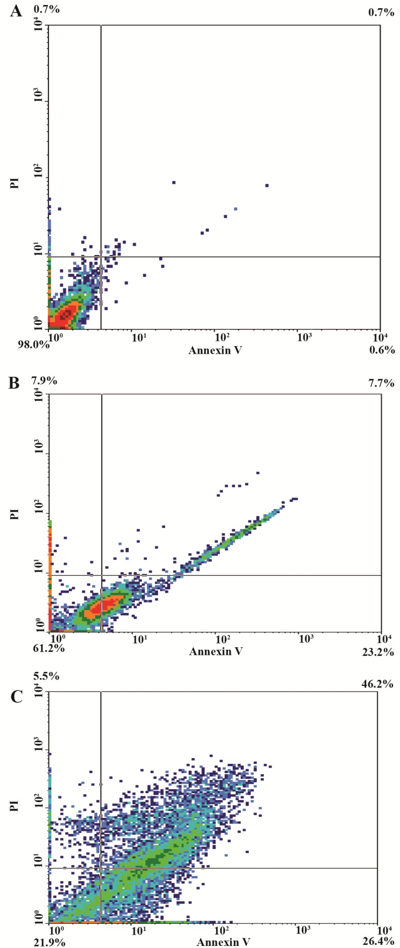 Figure 11.
