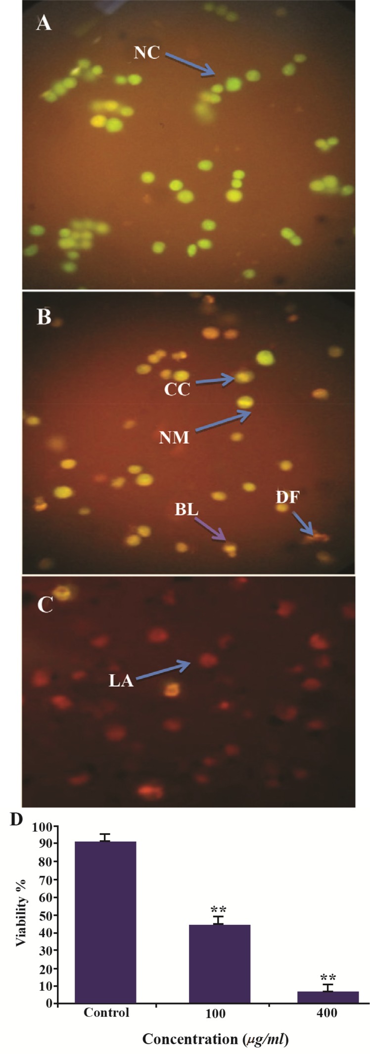 Figure 10.
