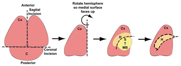 Fig. 2