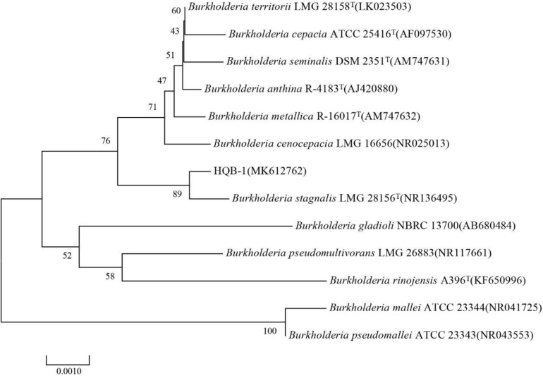 FIGURE 3