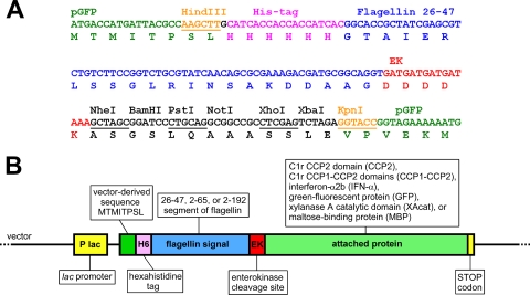 FIG. 1.