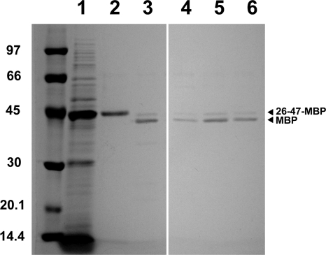 FIG. 6.