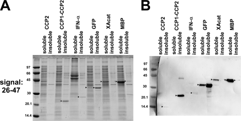 FIG. 3.