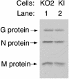FIG. 6.