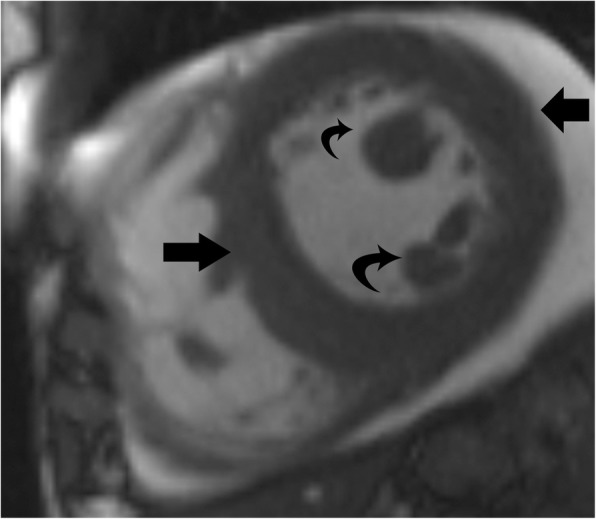 Fig. 7