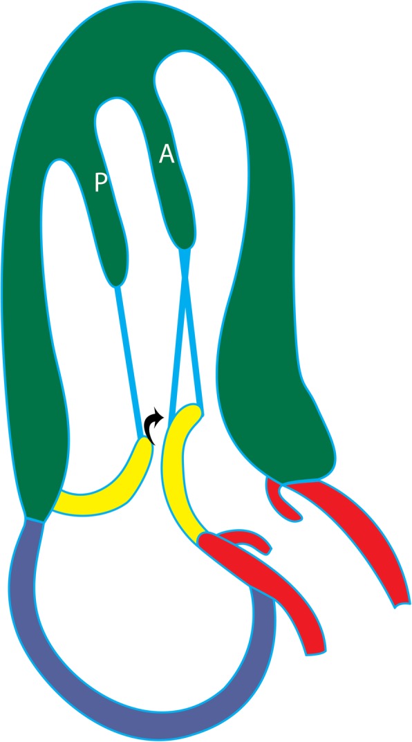 Fig. 11