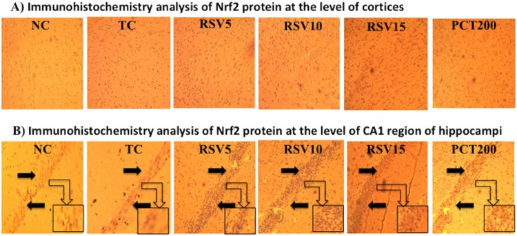 Figure
7.