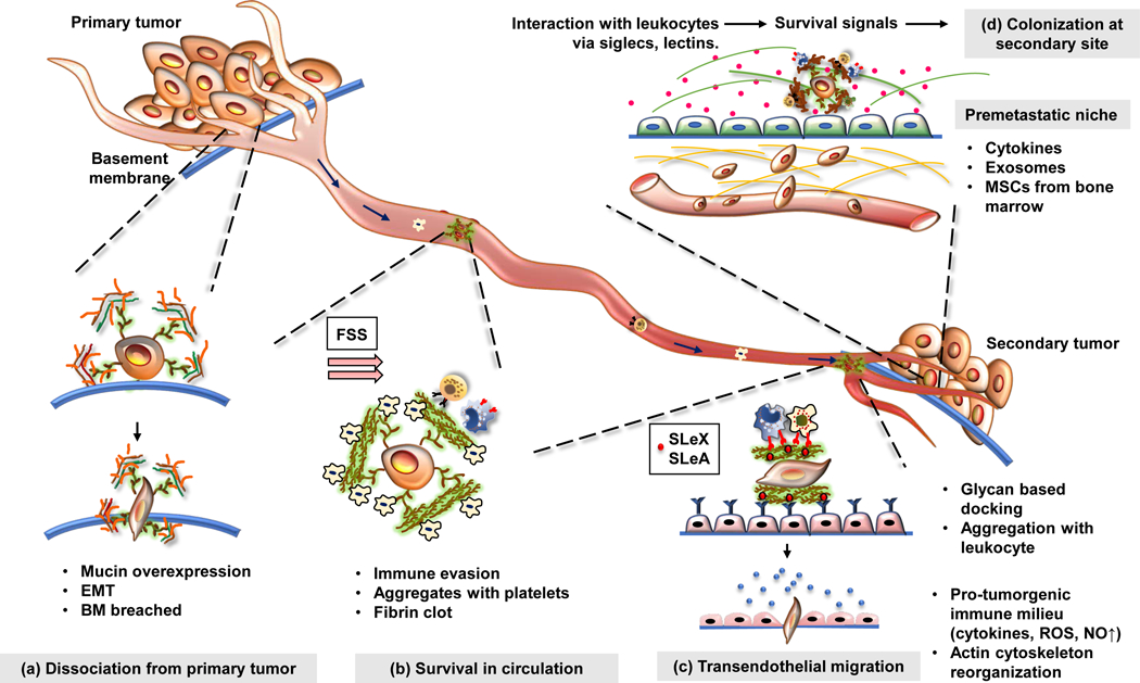 Figure 2: