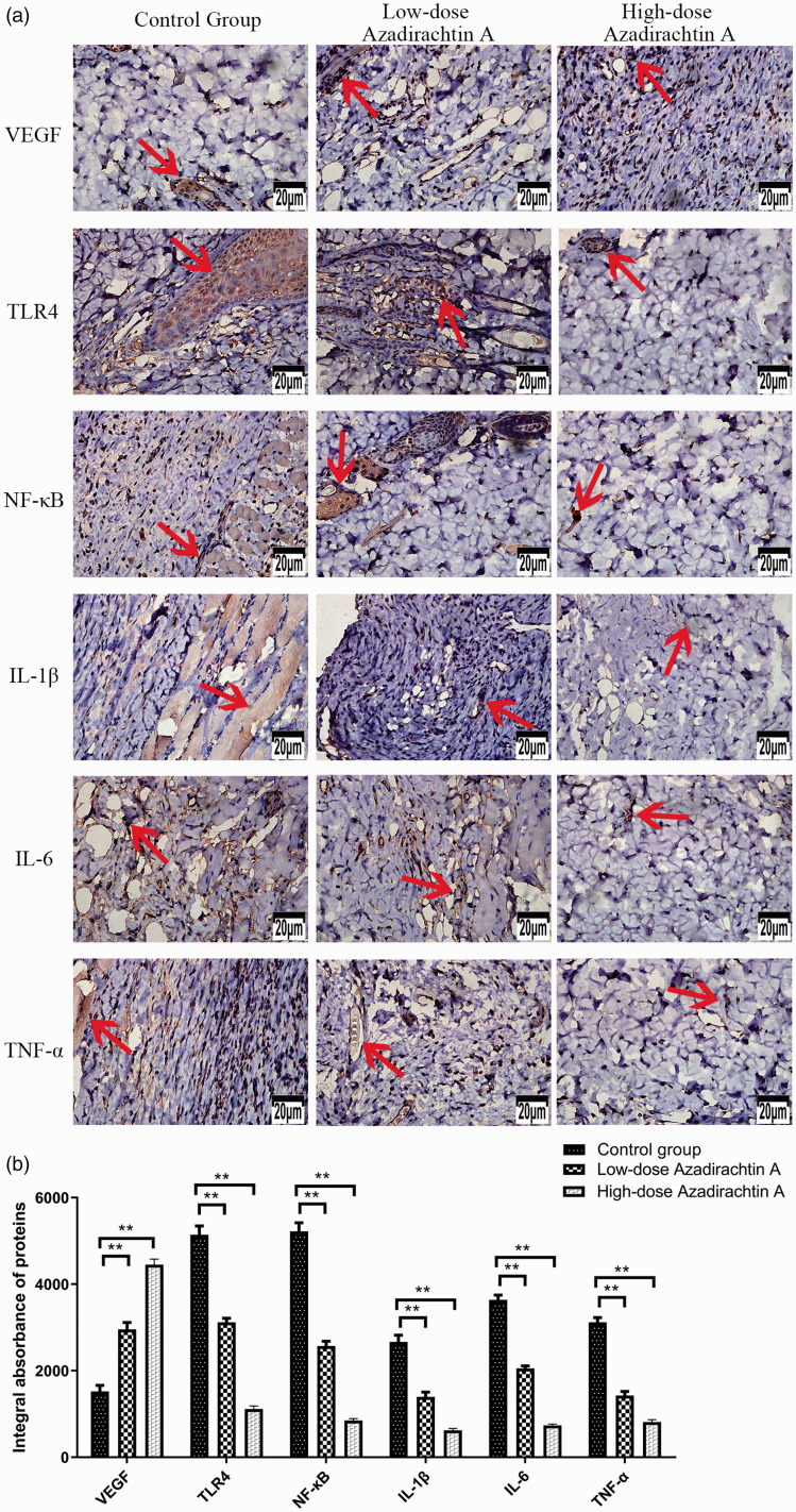 Figure 10.