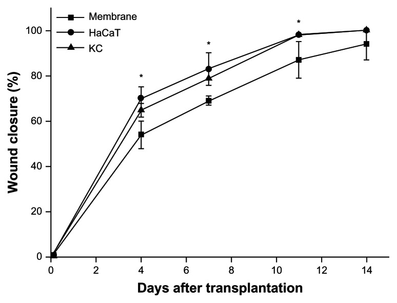 Figure 5