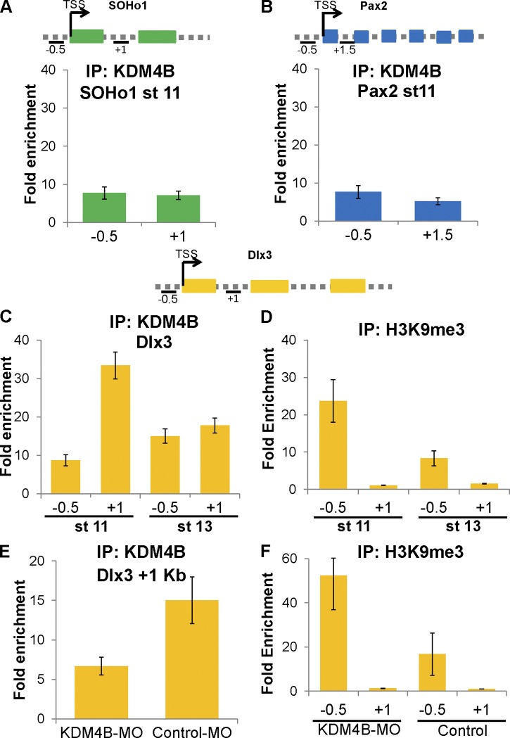 Figure 6.