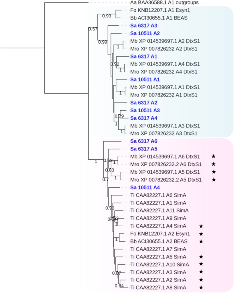 FIGURE 7