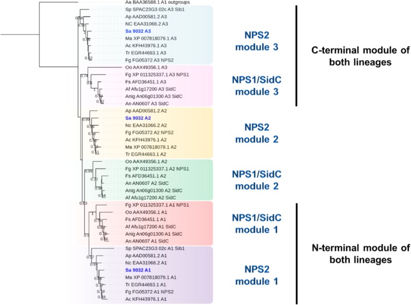 FIGURE 5