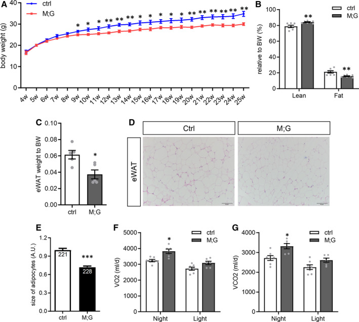 FIGURE 3