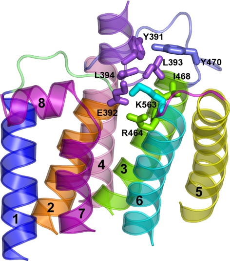 Fig. 7.