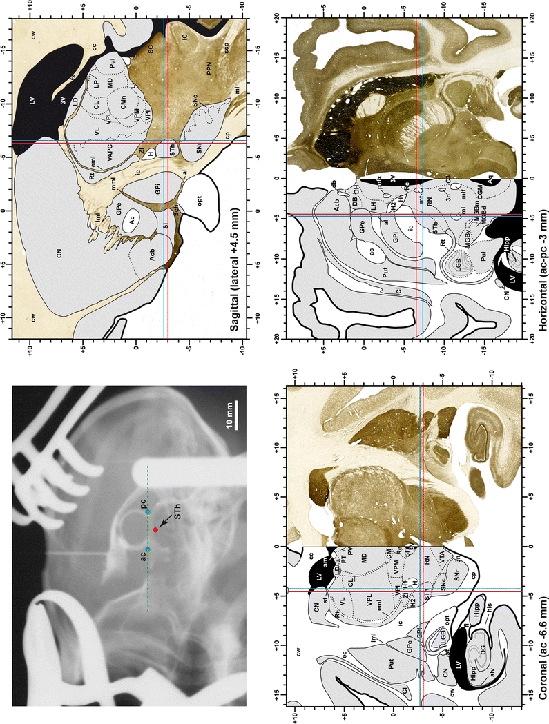 Fig. 3